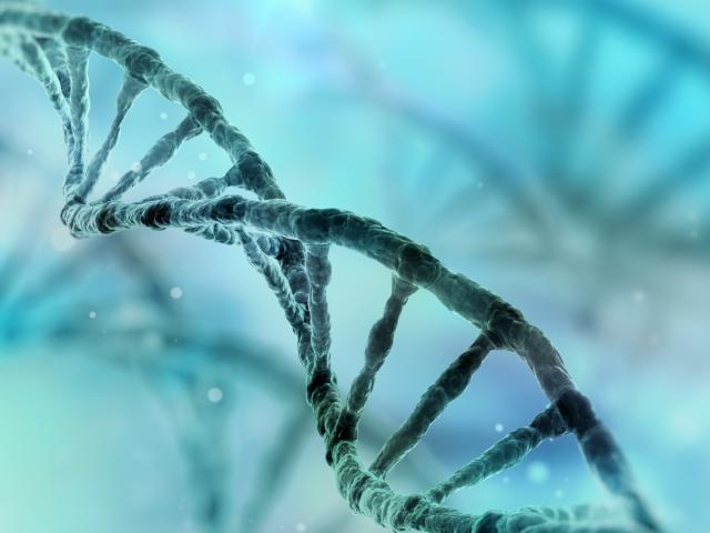 DNA Strang Biosimilars