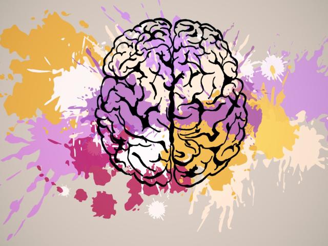 Multiple Sklerose Brain Coloured