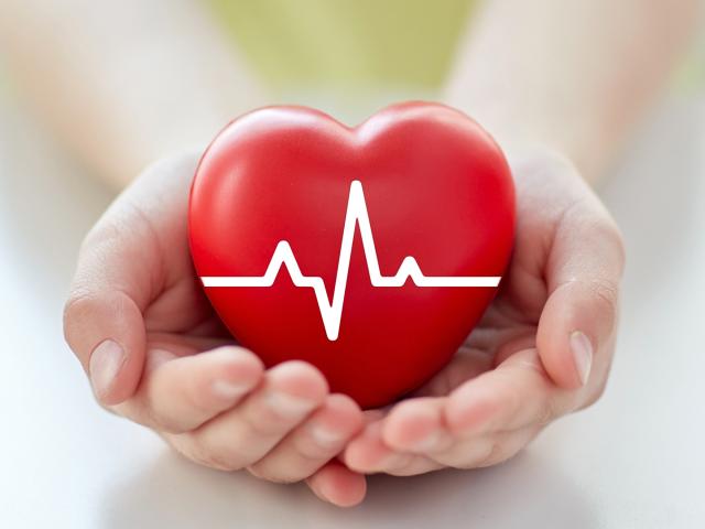 Risikofaktoren Herz-Kreislauferkrankungen – allgemein